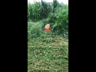 radio controlled lawnmower